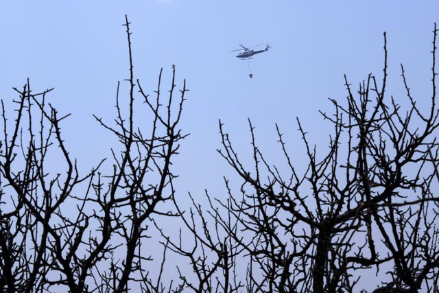 Cháy rừng nghiêm trọng nhất từ trước tới nay ở CH Cyprus, 4 người thiệt mạng - Ảnh 10.