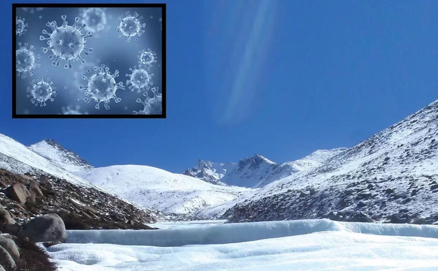 Phát hiện hàng loạt loài virus mới “ngủ đông” trong lớp băng 15.000 năm - Ảnh 1.