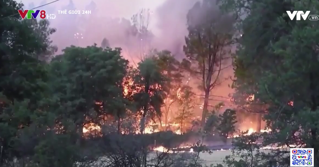 Cháy rừng nghiêm trọng tại nhiều nơi trên thế giới - Ảnh 1.
