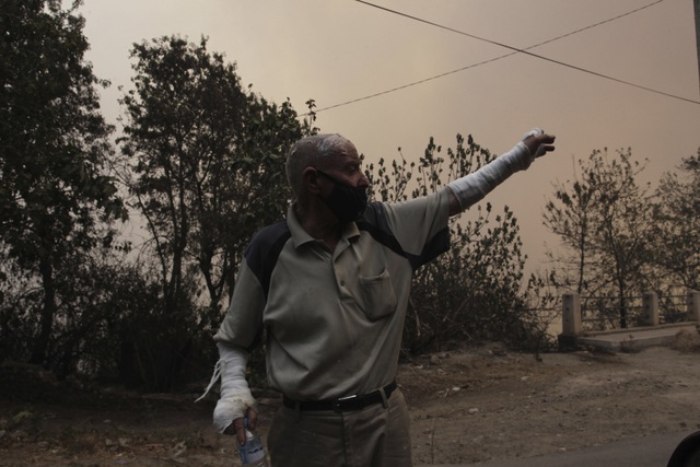 Hàng chục vụ cháy rừng hoành hành ở Algeria khiến hơn 40 người thiệt mạng - Ảnh 2.