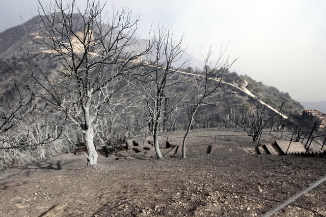 Hàng chục vụ cháy rừng hoành hành ở Algeria khiến hơn 40 người thiệt mạng - Ảnh 1.