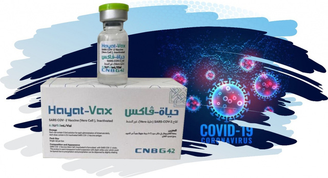 G42 Medications Trading LLC chính thức xuất khẩu vaccine COVID - 19 Hayat-Vax - Ảnh 3.