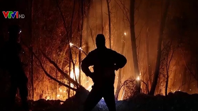 Châu Âu ghi nhận hàng chục ngàn vụ cháy rừng thảm khốc - Ảnh 2.