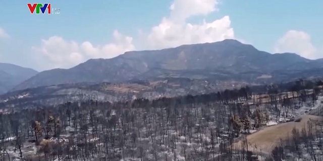 Châu Âu ghi nhận hàng chục ngàn vụ cháy rừng thảm khốc - Ảnh 3.