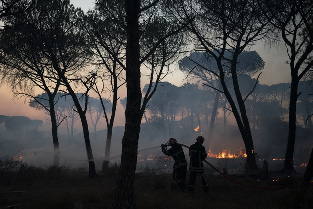 Hơn 1.100 nhân viên cứu hỏa vật lộn để kiểm soát đám cháy rừng tại Pháp - Ảnh 3.