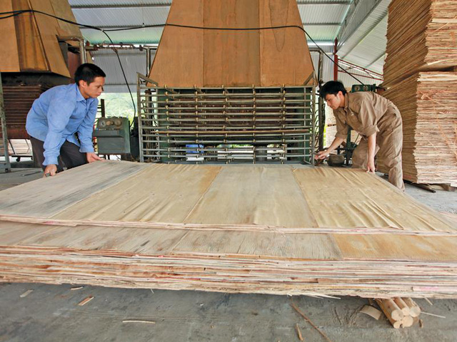 Ngăn chặn hàng xuất khẩu đội lốt “Made in Việt Nam” - Ảnh 1.