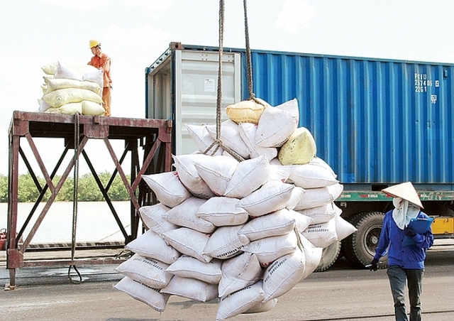 Cảng hoạt động cầm chừng, xuất khẩu gạo khó chồng khó - Ảnh 1.