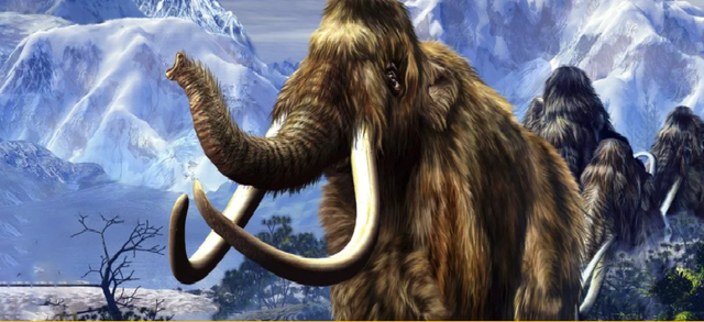 Lý giải nguyên nhân voi ma mút rậm lông khổng lồ tuyệt chủng