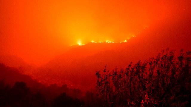 Cháy rừng hoành hành ở California, cây lớn nhất thế giới được bọc trong lớp vải chống lửa - Ảnh 3.