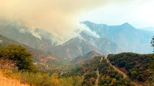 Cháy rừng hoành hành ở California, cây lớn nhất thế giới được bọc trong lớp vải chống lửa - Ảnh 1.