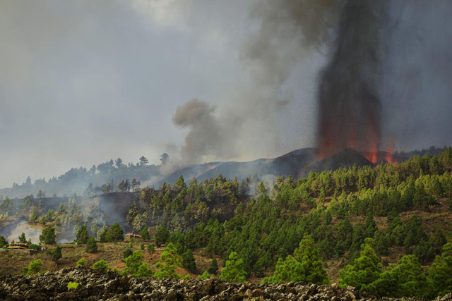 Núi lửa phun trào ở quần đảo Canaria (Tây Ban Nha), hàng nghìn người phải sơ tán - Ảnh 4.