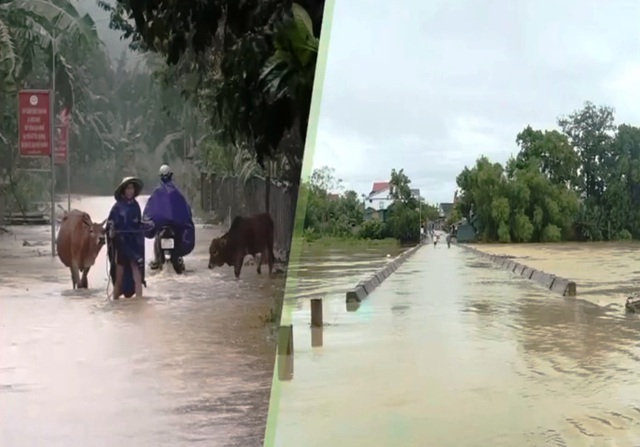Mưa lớn do hoàn lưu bão số 6 gây nhiều thiệt hại ở Hà Tĩnh, Nghệ An - Ảnh 2.