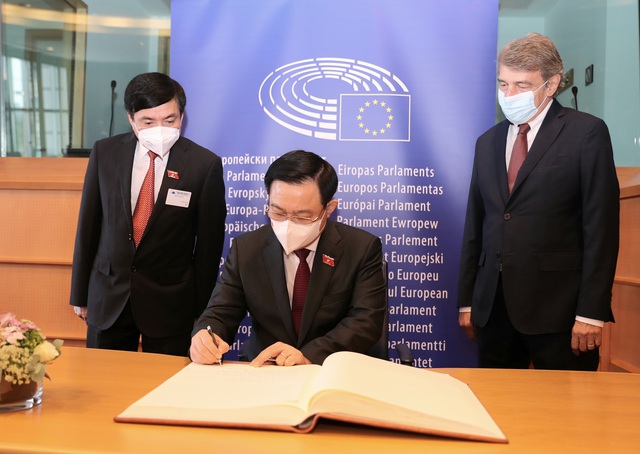 Nghị viện châu Âu sẽ nỗ lực vận động vaccine, trang thiết bị y tế giúp Việt Nam chống dịch - Ảnh 2.