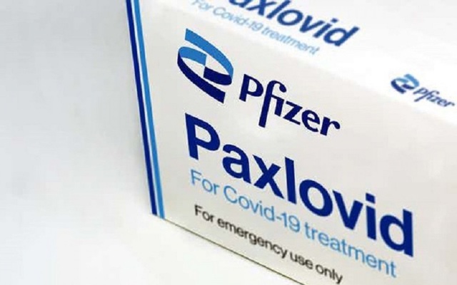 Anh bắt đầu sử dụng thuốc điều trị COVID-19 của Pfizer từ tháng 2 - Ảnh 1.