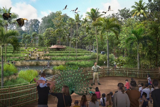 Công viên Bird Paradise sẽ mở cửa tại Mandai trong quý II/2023 - Ảnh 2.