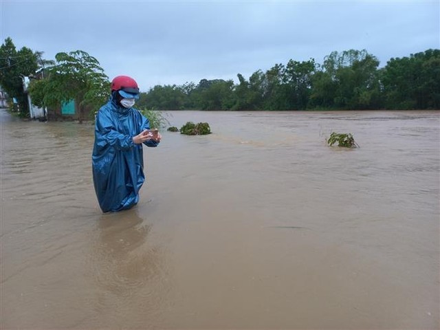 Nhiều địa phương ở Quảng Ngãi thiệt hại do mưa lớn - Ảnh 7.