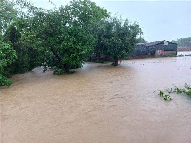 Nhiều địa phương ở Quảng Ngãi thiệt hại do mưa lớn - Ảnh 3.