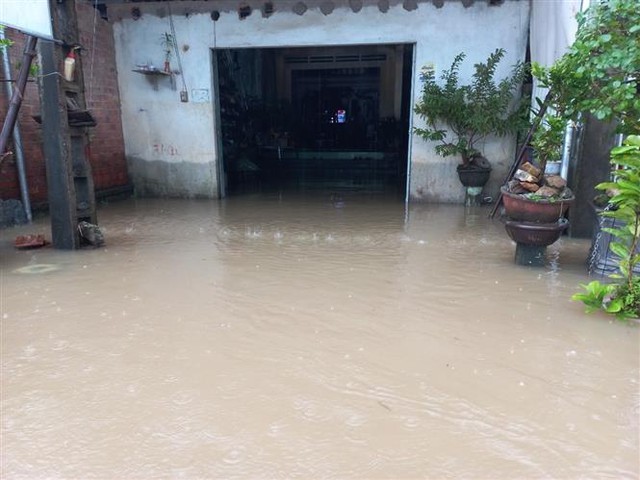 Nhiều địa phương ở Quảng Ngãi thiệt hại do mưa lớn - Ảnh 6.