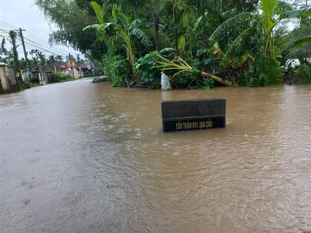 Nhiều địa phương ở Quảng Ngãi thiệt hại do mưa lớn - Ảnh 1.