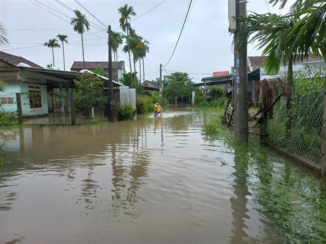 Nhiều địa phương ở Quảng Ngãi thiệt hại do mưa lớn - Ảnh 2.