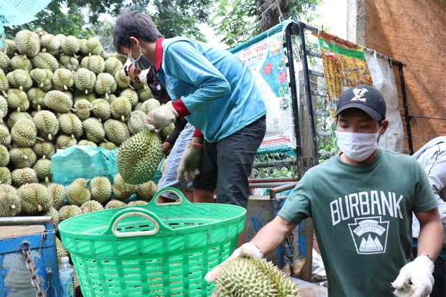 Nhiều trái cây Việt được cấp “visa” vào thị trường lớn - Ảnh 1.