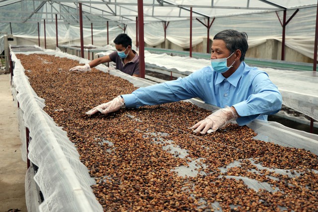 Xuất khẩu cà phê có thể cán mốc 4 tỷ USD - Ảnh 1.