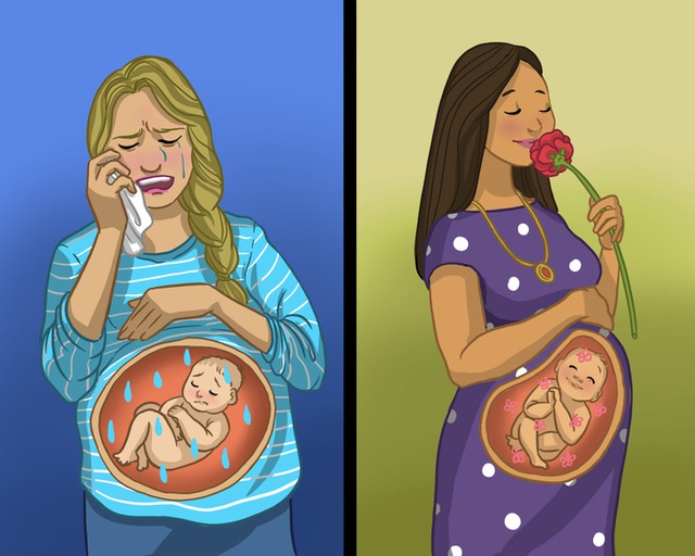 7 sự thật thú vị về thai nhi mà không phải ai cũng biết - Ảnh 5.