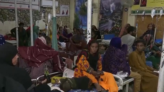 Dịch bệnh lan nhanh sau lũ lụt tồi tệ nhất tại Pakistan - Ảnh 1.