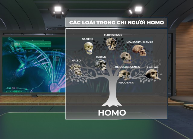 Nobel Y sinh 2022: Thợ săn ADN truy tìm nguồn gốc loài người - Ảnh 1.