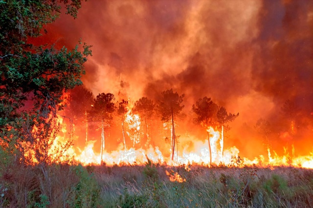 9 nước châu Âu có diện tích cháy rừng mới cao kỷ lục - Ảnh 1.