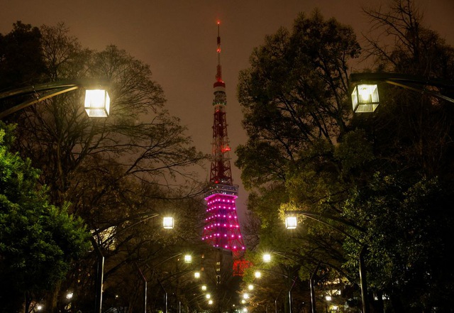 Nhật Bản kêu gọi tiết kiệm điện trong mùa đông - Ảnh 1.