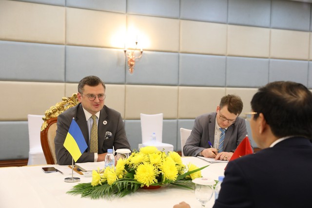 Bộ trưởng Bộ Ngoại giao Bùi Thanh Sơn gặp Bộ trưởng Bộ Ngoại giao Ukraine Dmytro Kuleba - Ảnh 3.