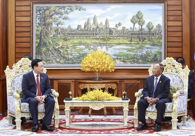 Đưa quan hệ Việt Nam - Campuchia ngày càng thực chất, hiệu quả - Ảnh 1.