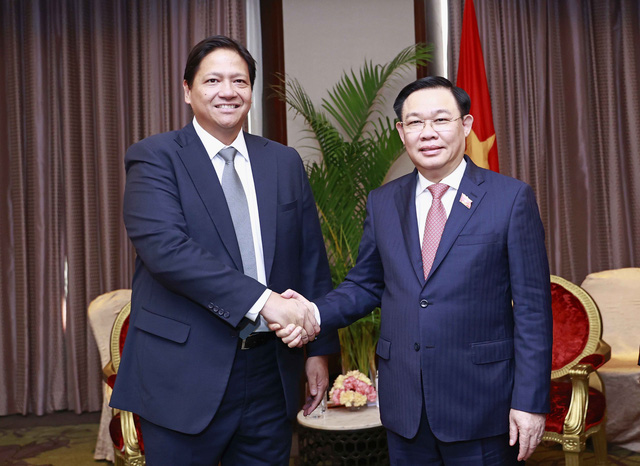 Thúc đẩy hợp tác kinh tế Việt Nam - Philippines - Ảnh 1.