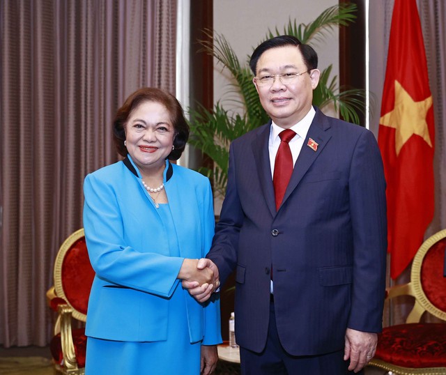 Thúc đẩy hợp tác kinh tế Việt Nam - Philippines - Ảnh 1.