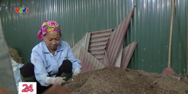 Chị em phụ nữ xử lý rơm, rạ sau thu hoạch để bảo vệ môi trường - Ảnh 2.