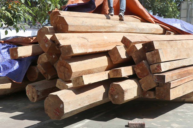 Điện Biên: Phát hiện vụ tàng trữ trái phép hơn 26m3 gỗ tại xã Phu Luông - Ảnh 1.
