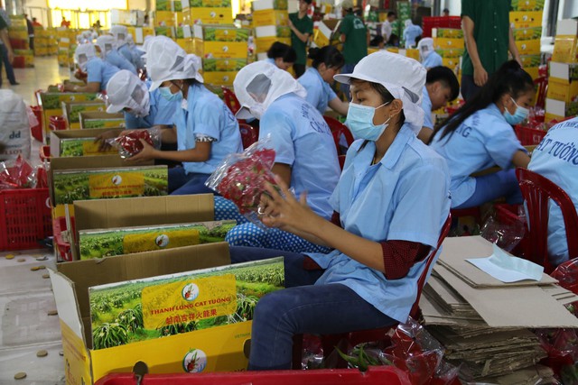 Thúc đẩy tăng trưởng xuất khẩu Việt Nam - Trung Quốc - Ảnh 1.
