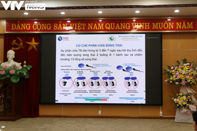 Phát hiện ca song thai cùng trứng, khác kiểu hình và kiểu gen ở Việt Nam - Ảnh 3.