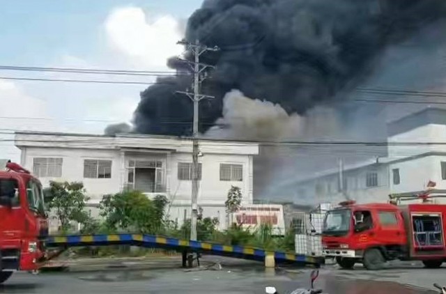 Long An: Cháy lớn kéo dài trong khu công nghiệp Hải Sơn - Ảnh 1.