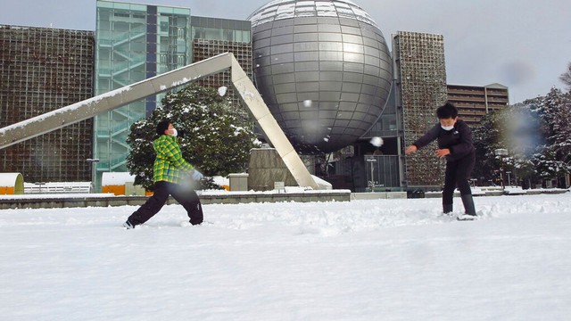 Tuyết rơi dày đặc ở Nhật Bản khiến ít nhất 13 người thiệt mạng, hơn 10.000 ngôi nhà mất điện - Ảnh 4.