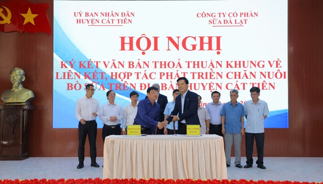 Tập đoàn TH bàn giao bò sữa HF thuần chủng cho nông dân Lâm Đồng - Ảnh 1.