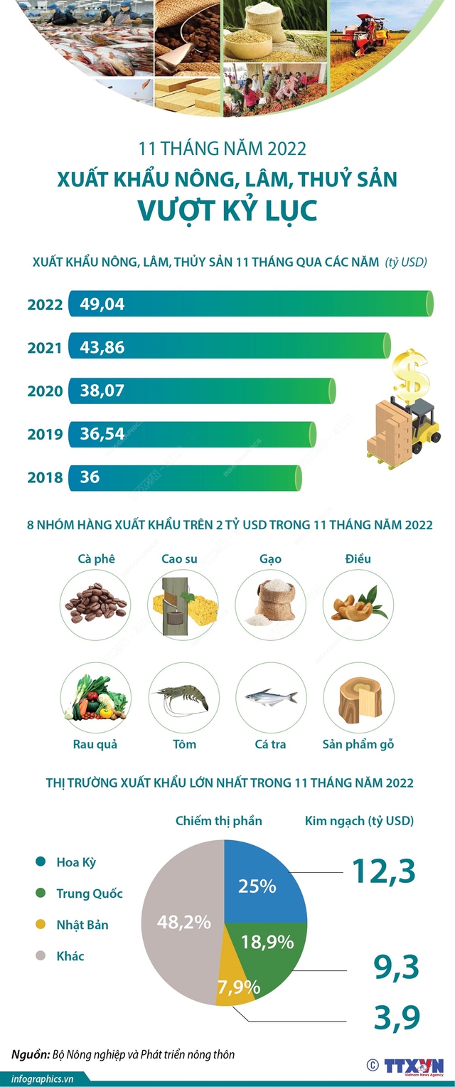 [INFOGRAPHIC] 11 tháng năm 2022: Xuất khẩu nông, lâm, thủy sản đạt hơn 49 tỷ USD - Ảnh 1.
