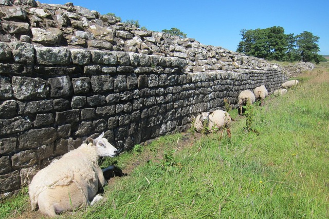Biến đổi khí hậu đe dọa pháo đài phòng thủ Bức tường Hadrian ở Anh - Ảnh 4.