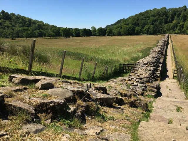 Biến đổi khí hậu đe dọa pháo đài phòng thủ Bức tường Hadrian ở Anh - Ảnh 8.