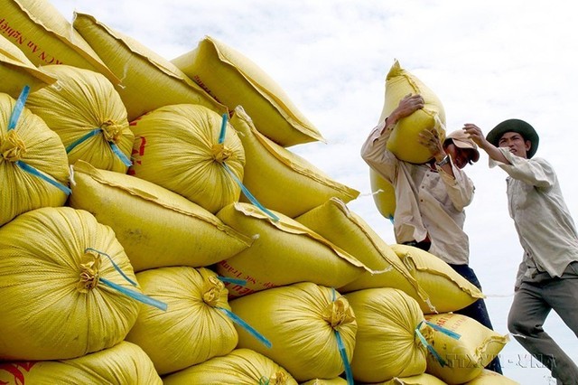 Xuất khẩu gạo tăng mạnh tháng đầu năm - Ảnh 1.