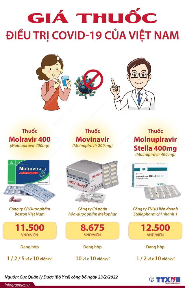 [INFOGRAPHIC] Sử dụng thuốc Molnupiravir thế nào để an toàn và hiệu quả? - Ảnh 2.