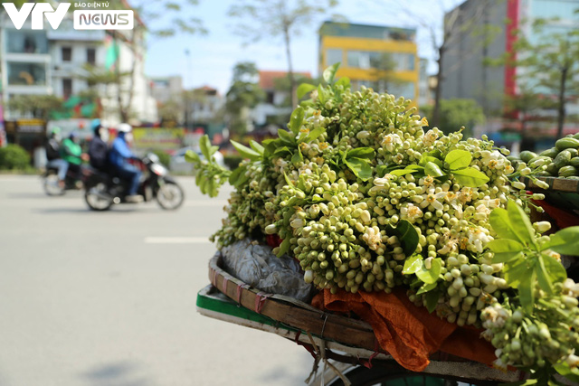 Hoa bưởi trắng ngần, ngát hương lấp ló trên đường phố Hà Nội - Ảnh 11.