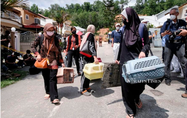 Mưa lớn bất thường gây lở đất ở thủ đô Malaysia, 4 người thiệt mạng - Ảnh 2.