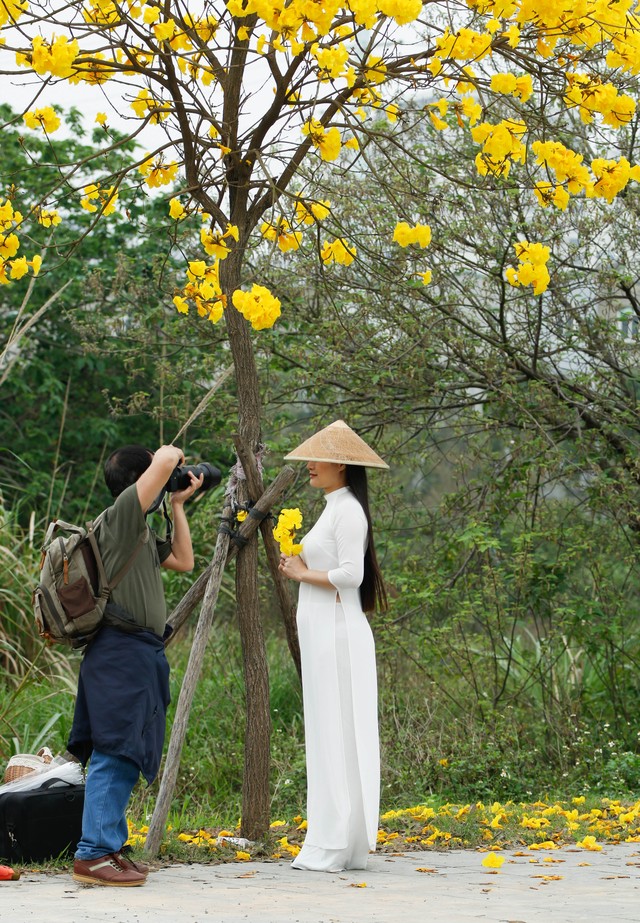 Người dân Hà Nội nô nức đi chụp ảnh con đường hoa Chuông vàng - Ảnh 7.